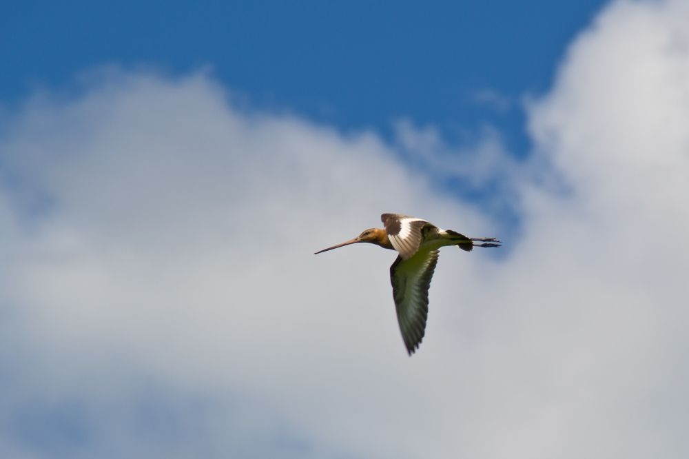 Фотография автора Юлия Кранина