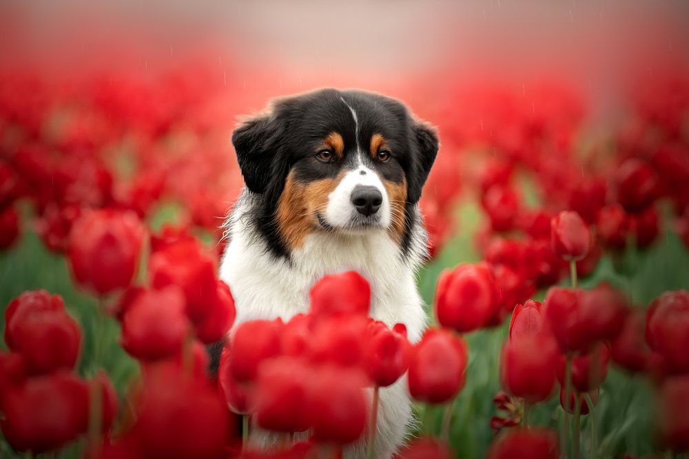 Photograph by Светлана Писарева