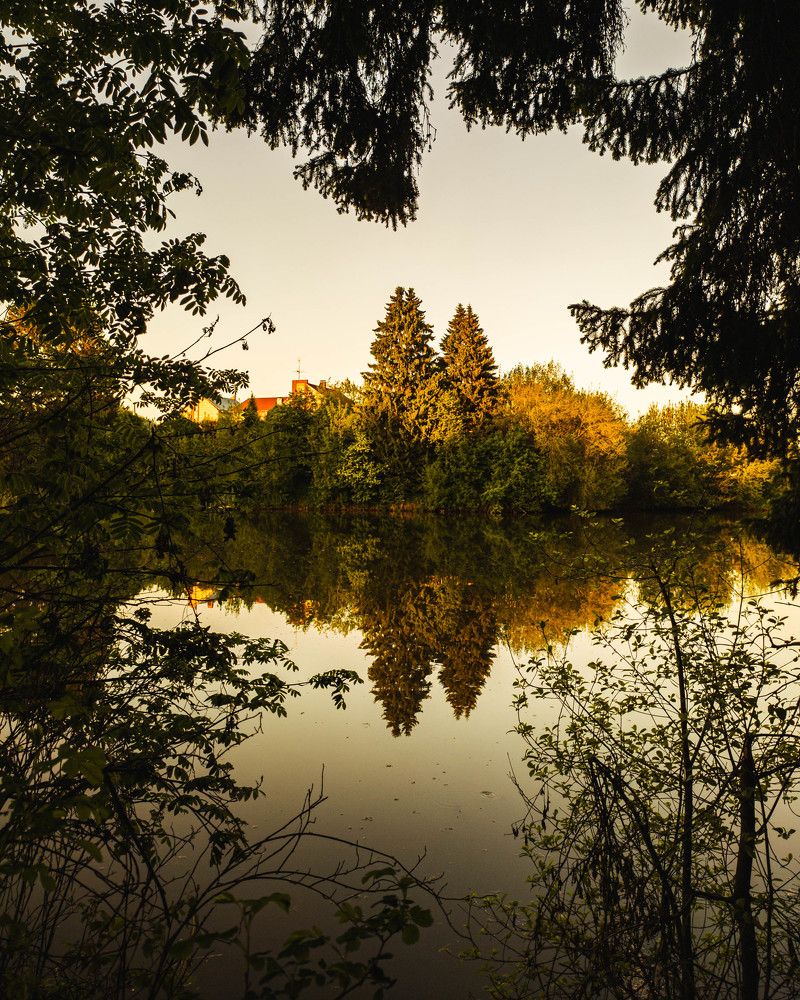 Фотография автора олег романов