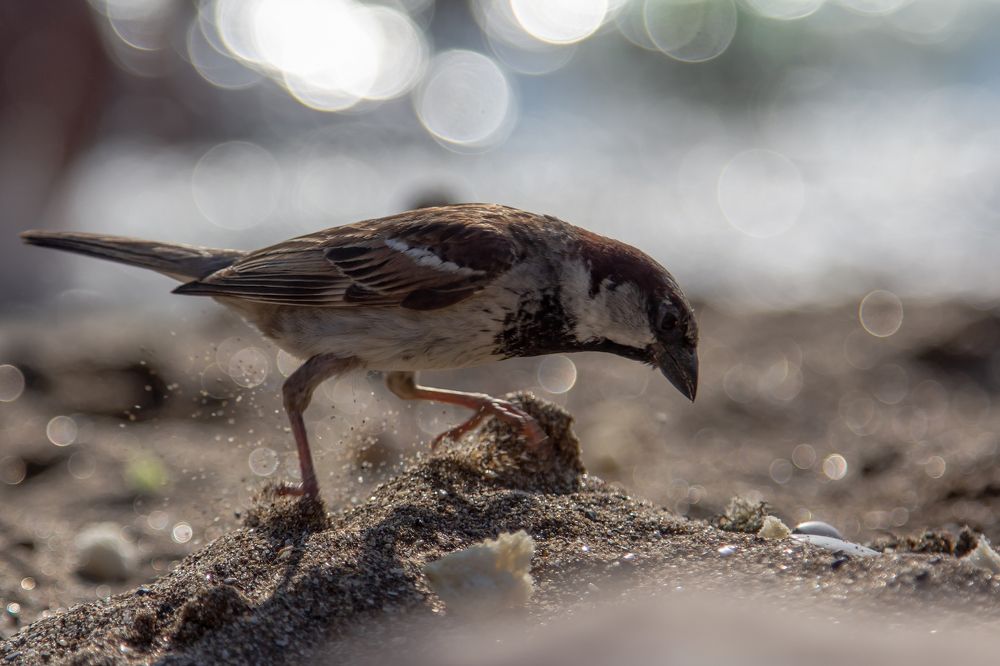 Photograph by Феденкова Татьяна