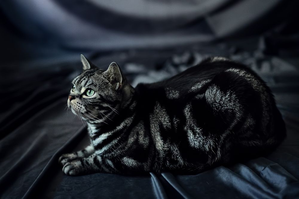 Photograph by Дарья Гурьева