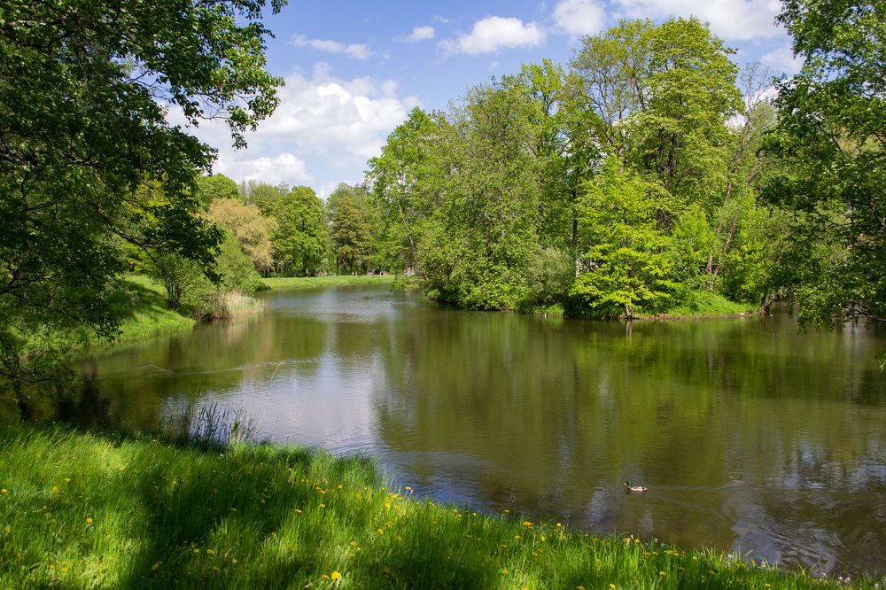 Весенний релакс