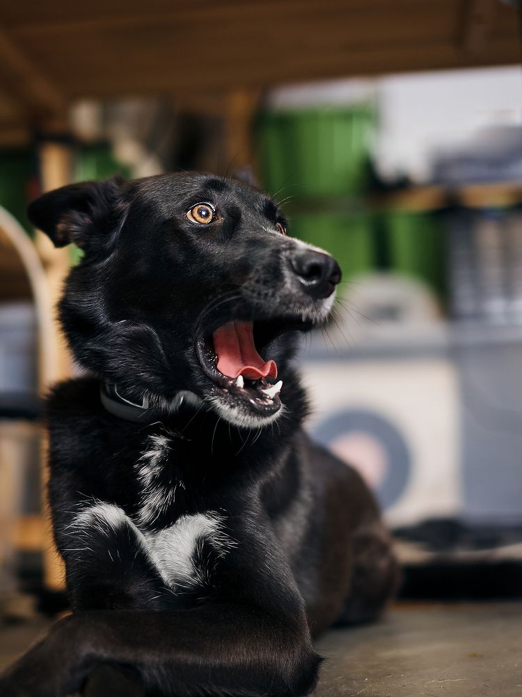 Photograph by Георгий Безбородов