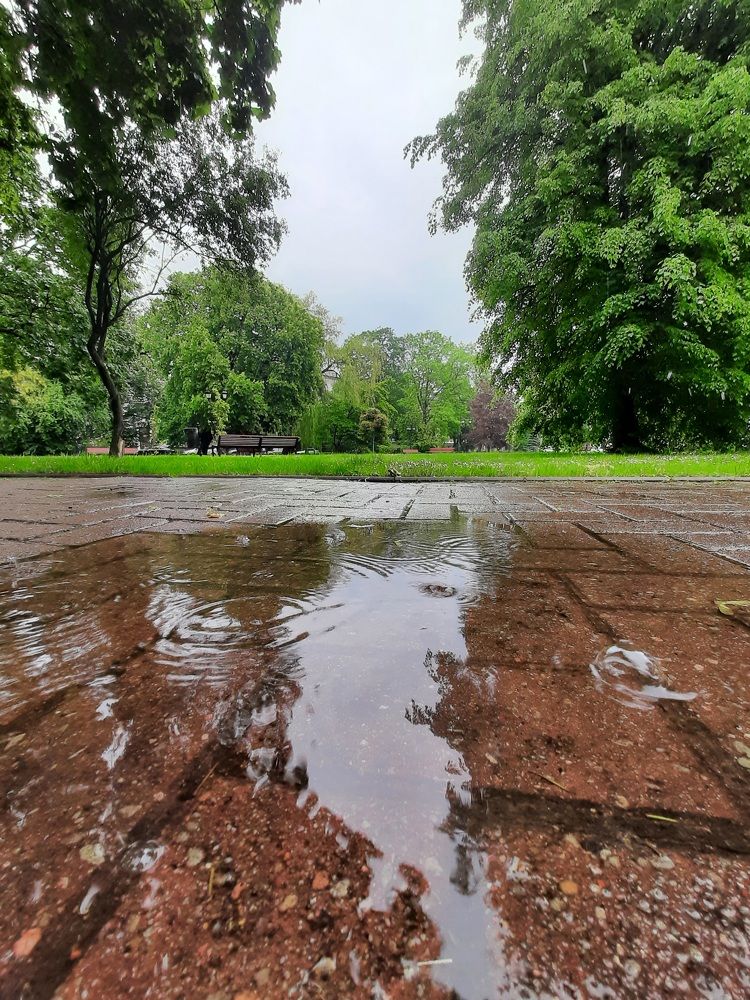 Photograph by Наталья Ткаченко