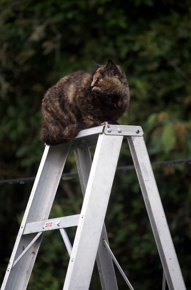 Photograph by Luis Miguel Báez Díaz