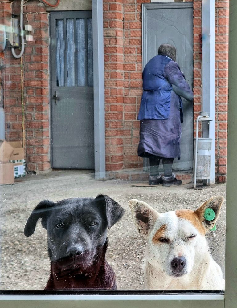 Photograph by Гельфман Галина