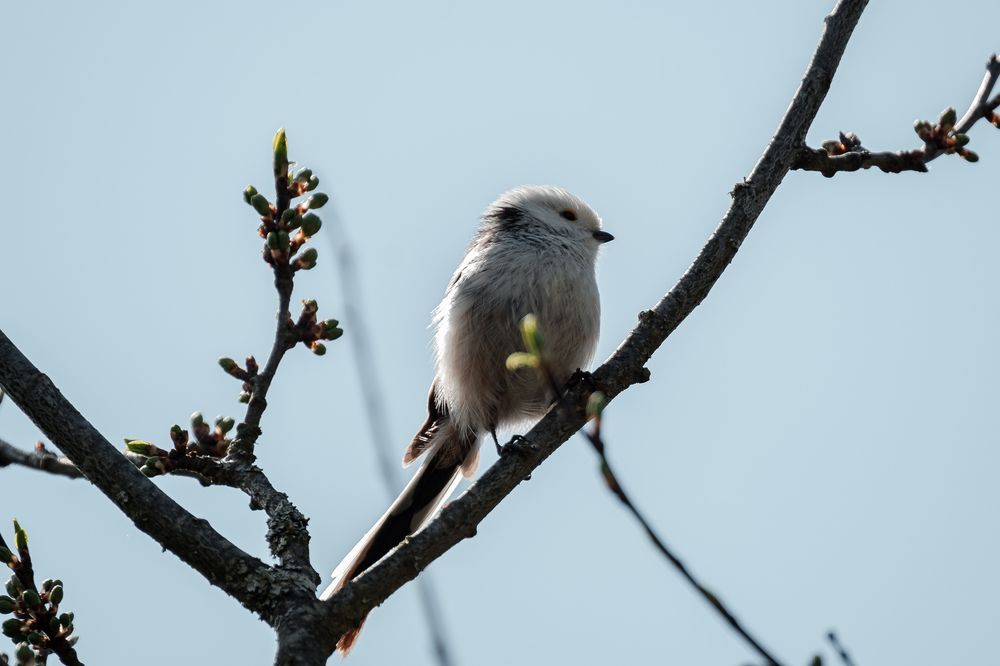 Photograph by Алексей Баженов