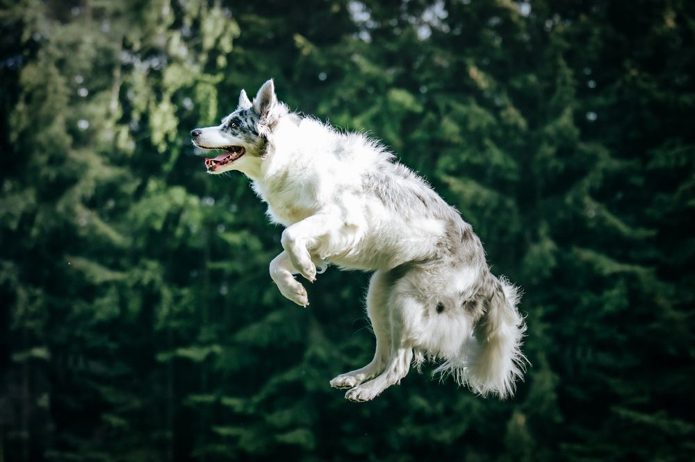 Photograph by Agnieszka Wieczorek