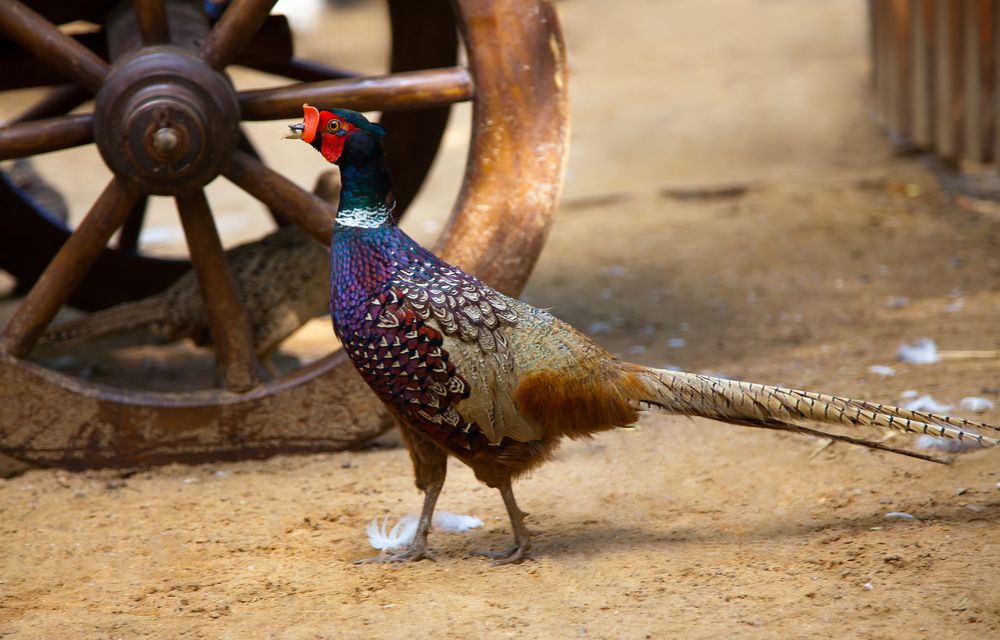 Photograph by Вера