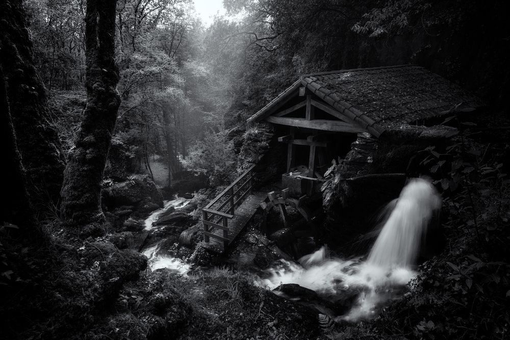 Photograph by SORAYA SAMPEDRO