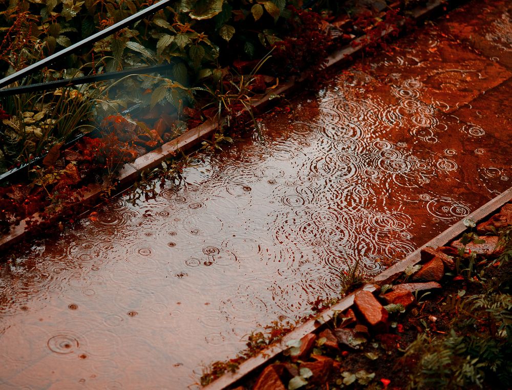 Photograph by Вера