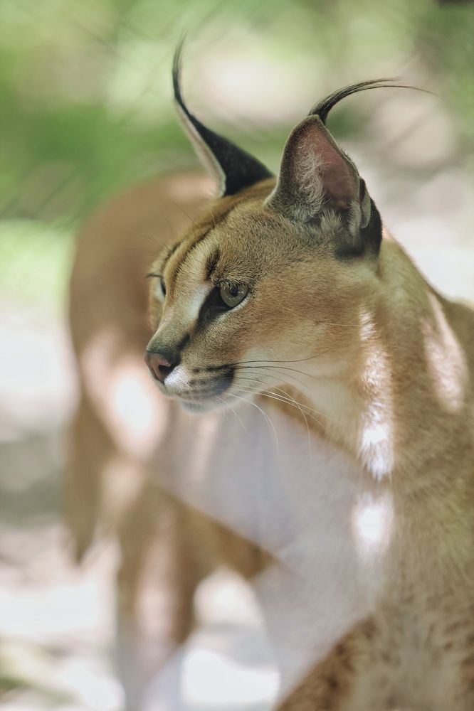 Photograph by Роман Красношапка