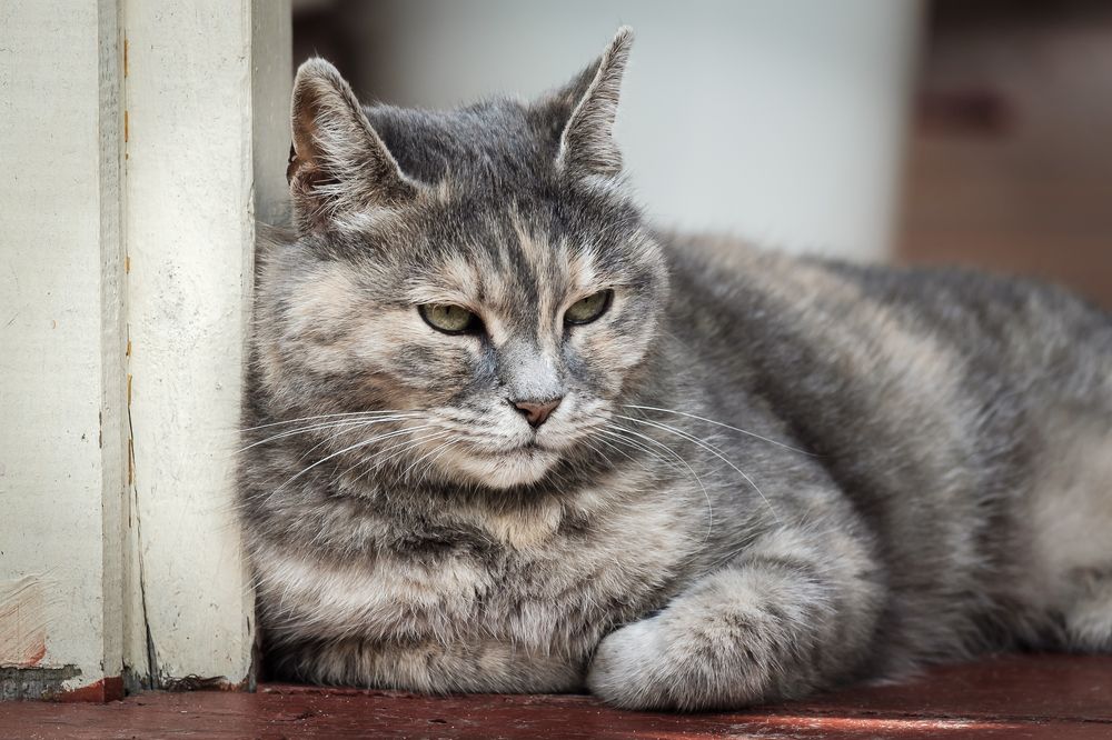 Photograph by Алексей Баженов