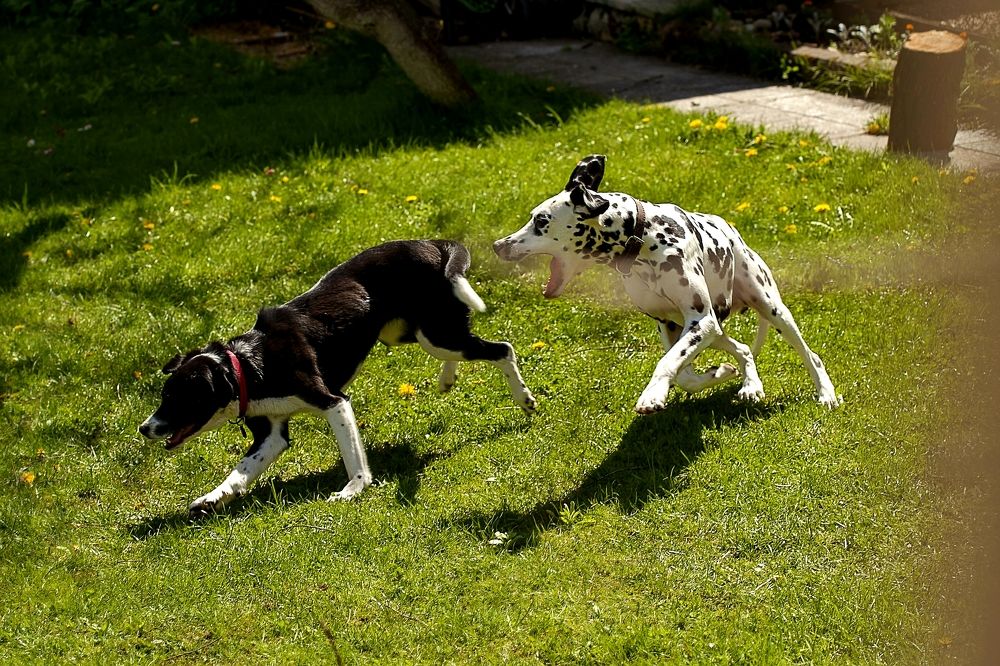 Фотография автора Alena Makushina