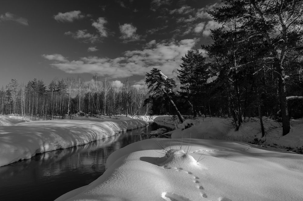 Photograph by Алексей Баженов