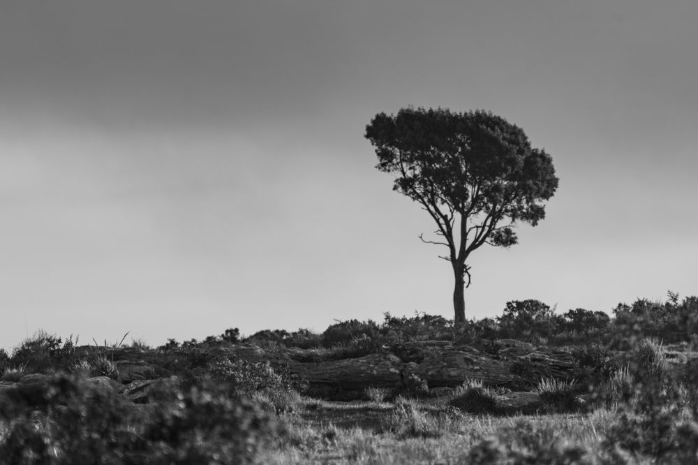 Photograph by antonio Solimeno