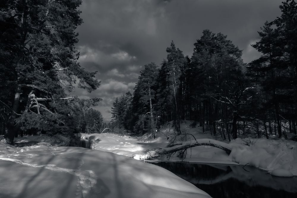 Photograph by Алексей Баженов