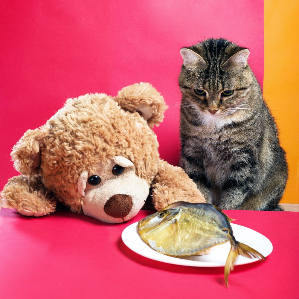 Photograph by Ангела Честнова