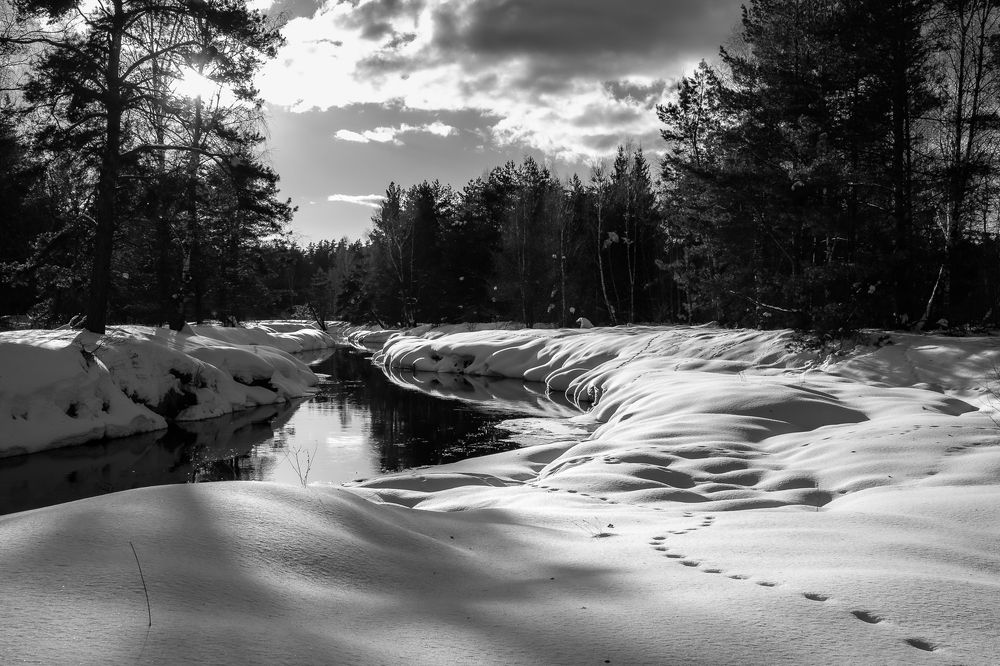 Photograph by Алексей Баженов