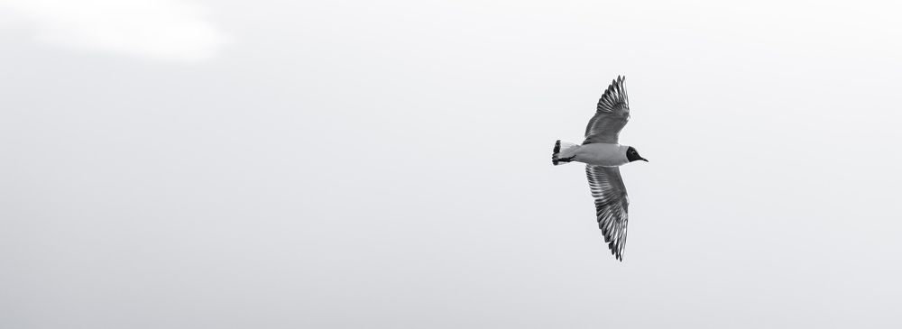 Фотография автора Михаил Балаев