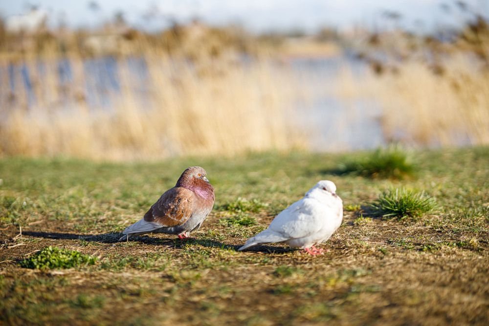 Фотография автора Михаил Балаев