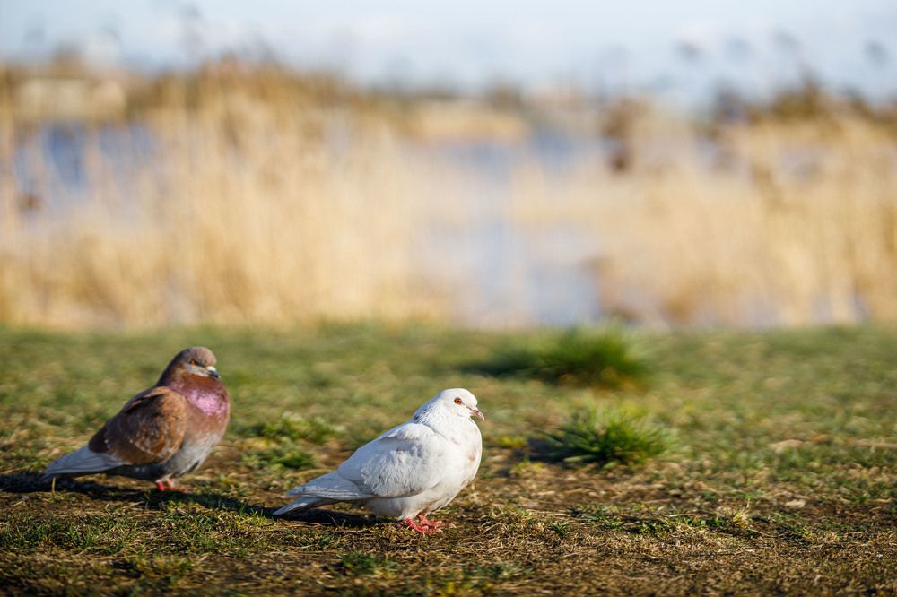 Фотография автора Михаил Балаев