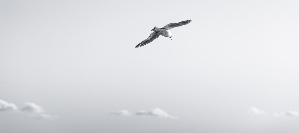 Фотография автора Михаил Балаев