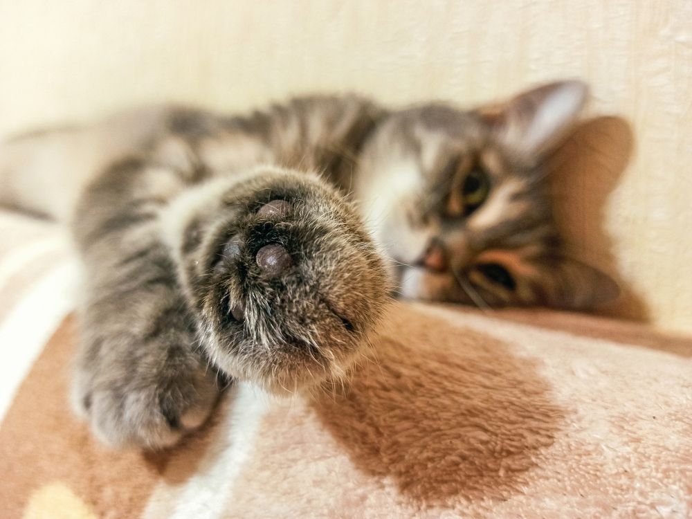 Photograph by Ольга Ситникова