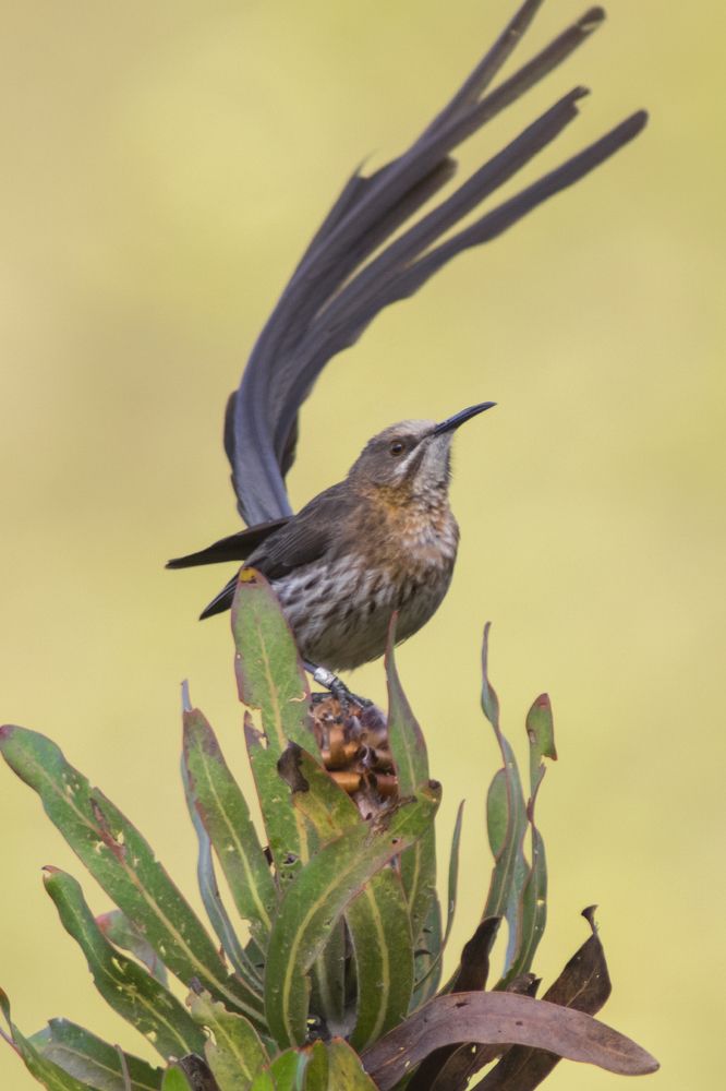 Photograph by Сергей Волков