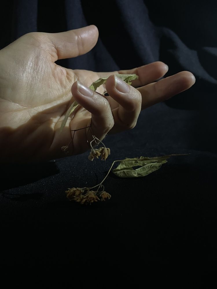 Photograph by Svetlana Mikheeva