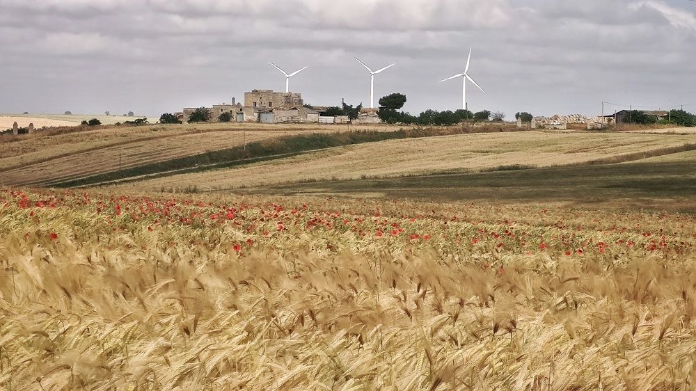 Photograph by Luigi Greco