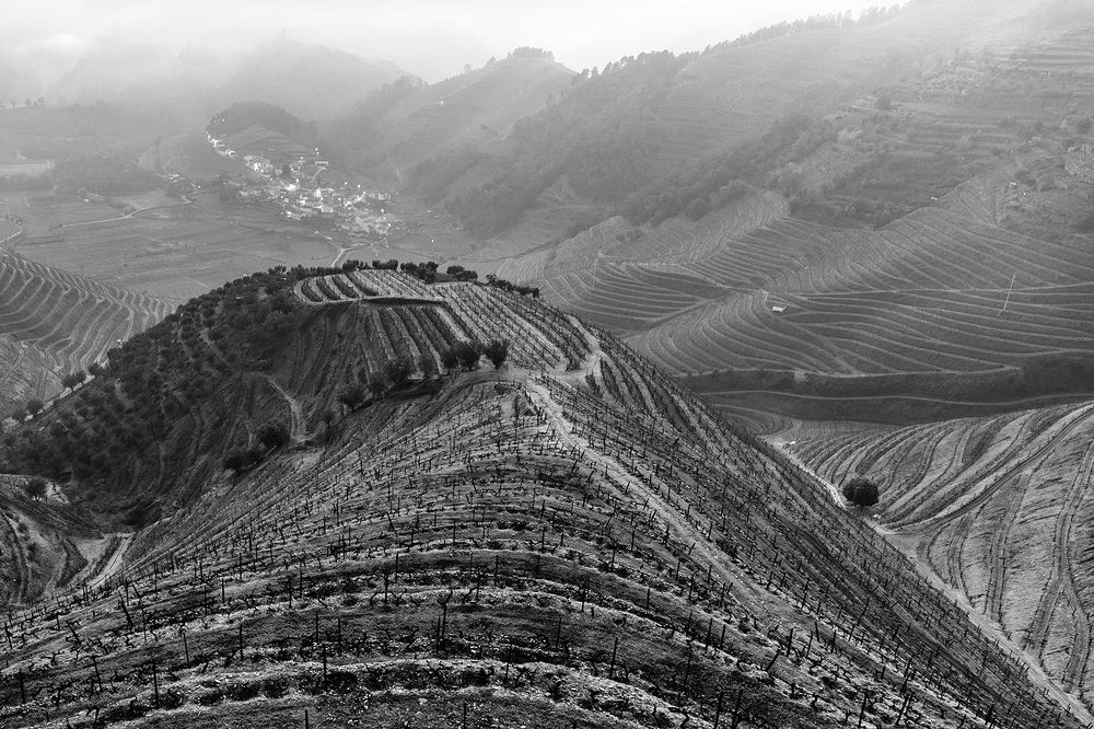 Douro Valley, Portugal