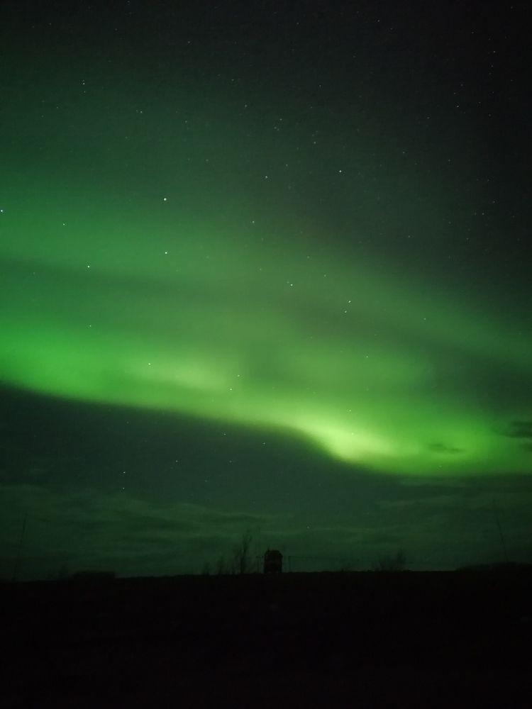 Photo #7633924