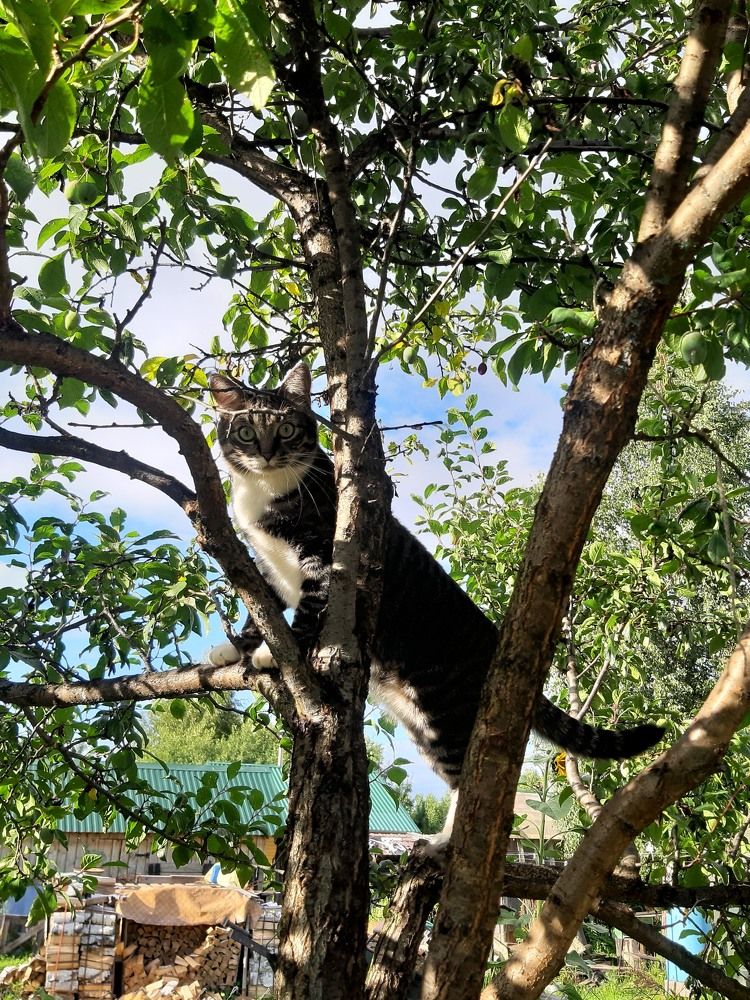 Photograph by Авилочкина Анна Викторовна