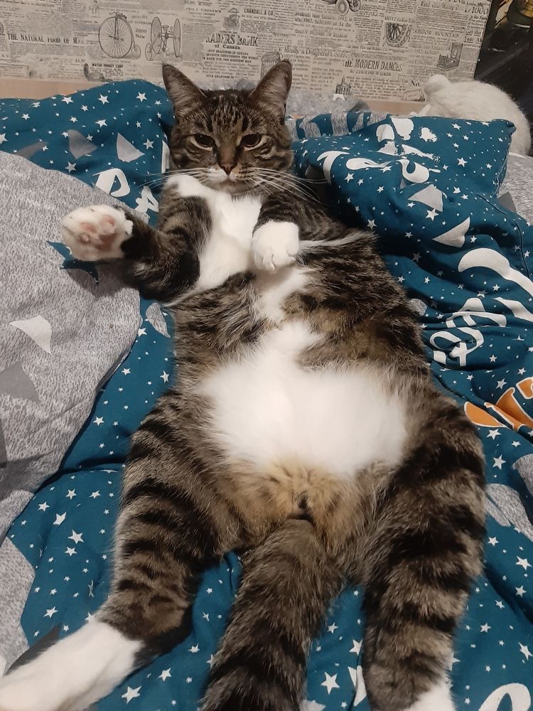 Photograph by Авилочкина Анна Викторовна