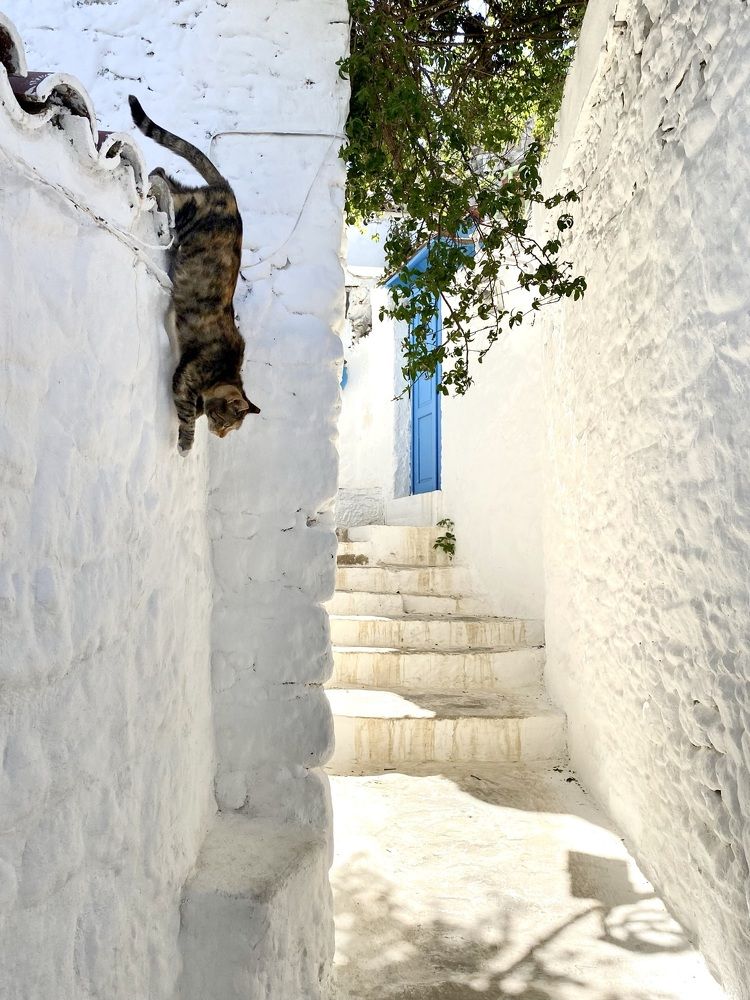 Photograph by Иованна Решетова