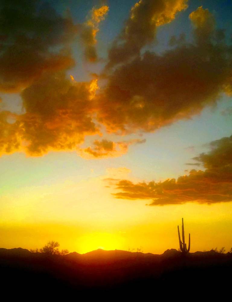 Warm sun kissed vibes