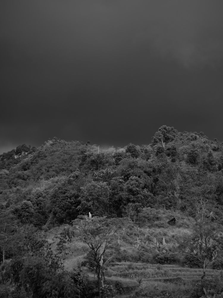 Фотография автора R. Zai