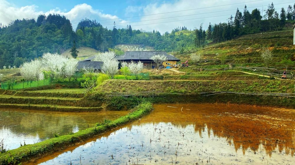 Photograph by THANH TUNG PHAM