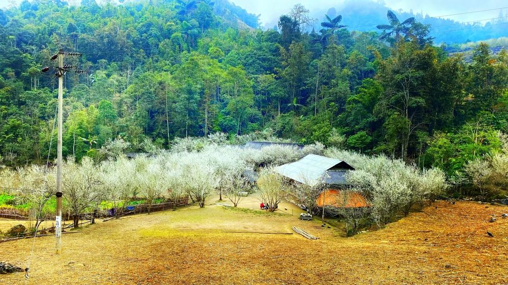 Photograph by THANH TUNG PHAM