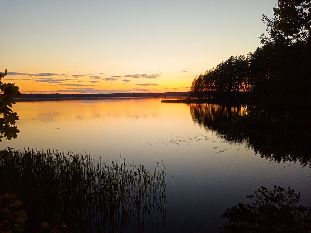 Photo #7634146