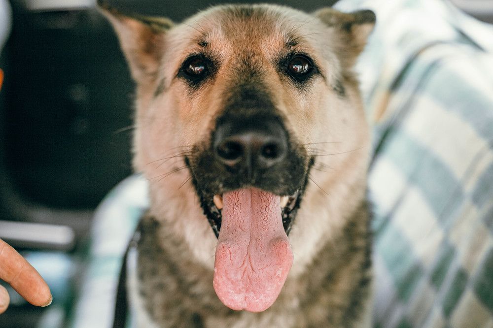 Photograph by Ольга Григорьева