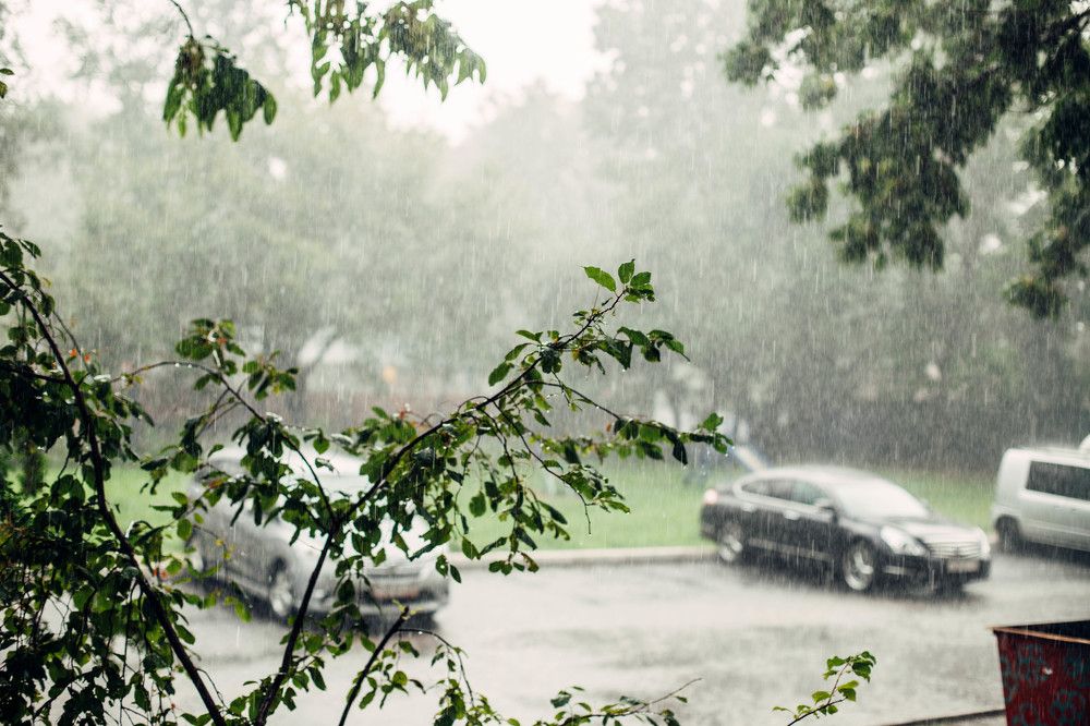 Photograph by Ольга Григорьева