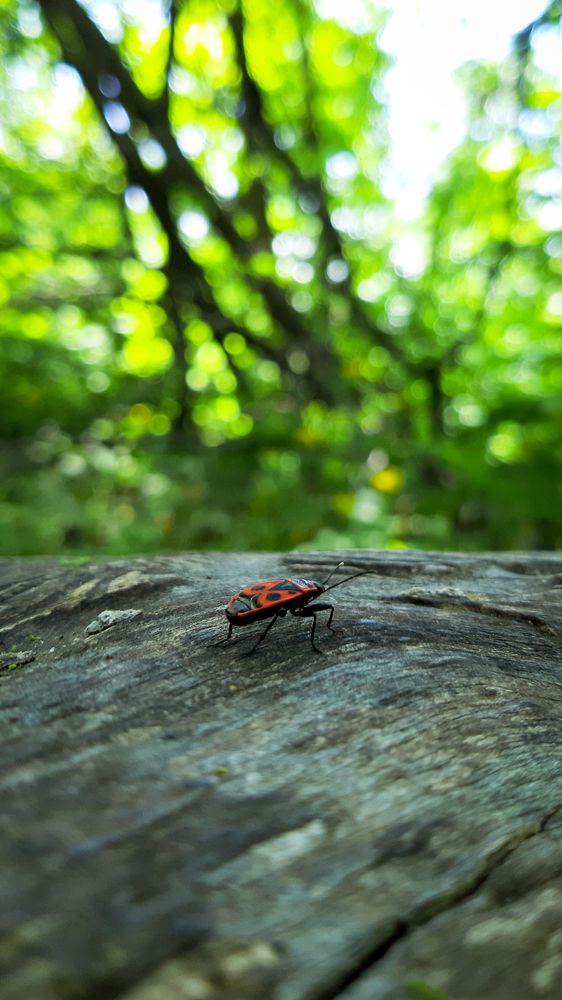 Photograph by Дамир Давронов