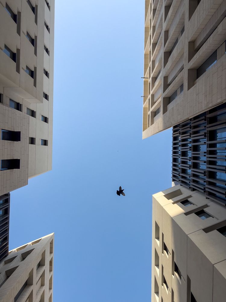 Photograph by Abhilash Thamattoor