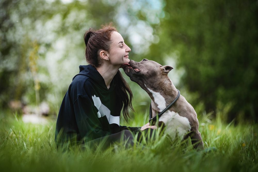 Photograph by Алексей Соколов