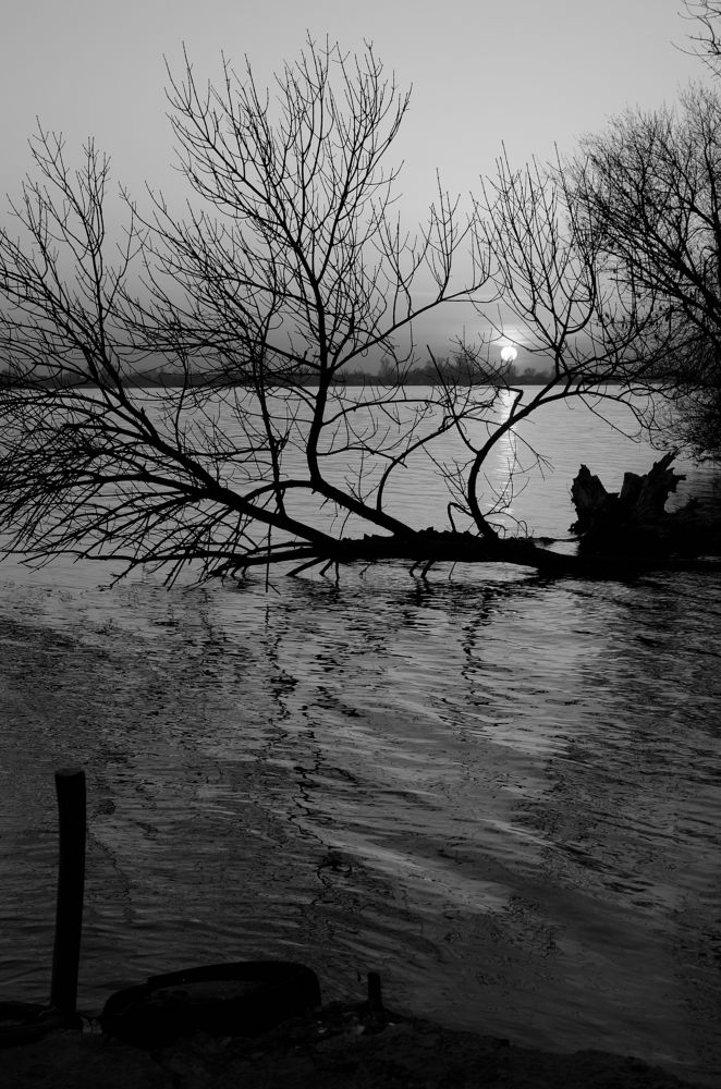 Фотография автора Алексей Батюков