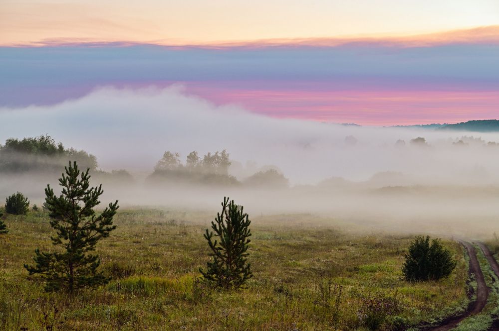 Стелется туман по полям по лугам