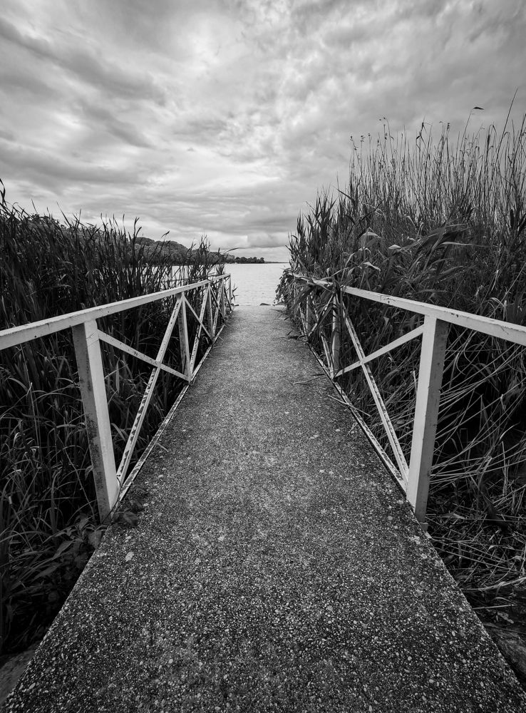 Фотография автора Nomin Jerabek