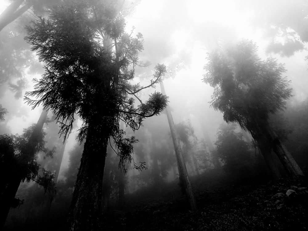 Photograph by saikat chanda